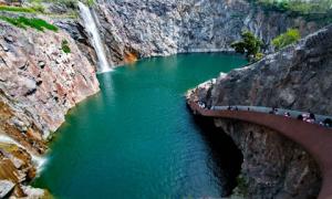 上海辰山植物園獲究院綜合設計類專業組榮譽獎