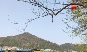 江西贛州浮石浮橋